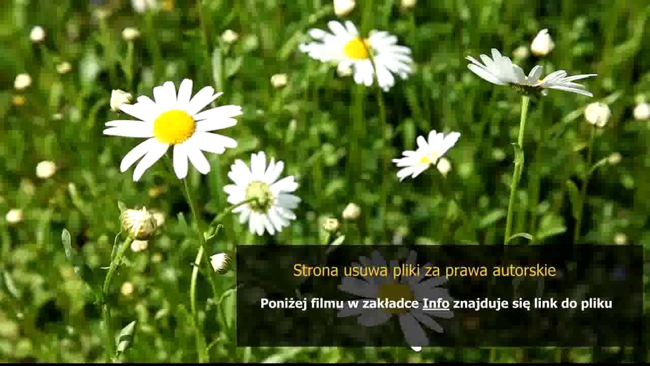 instrukcja inwentaryzacyjna wzor