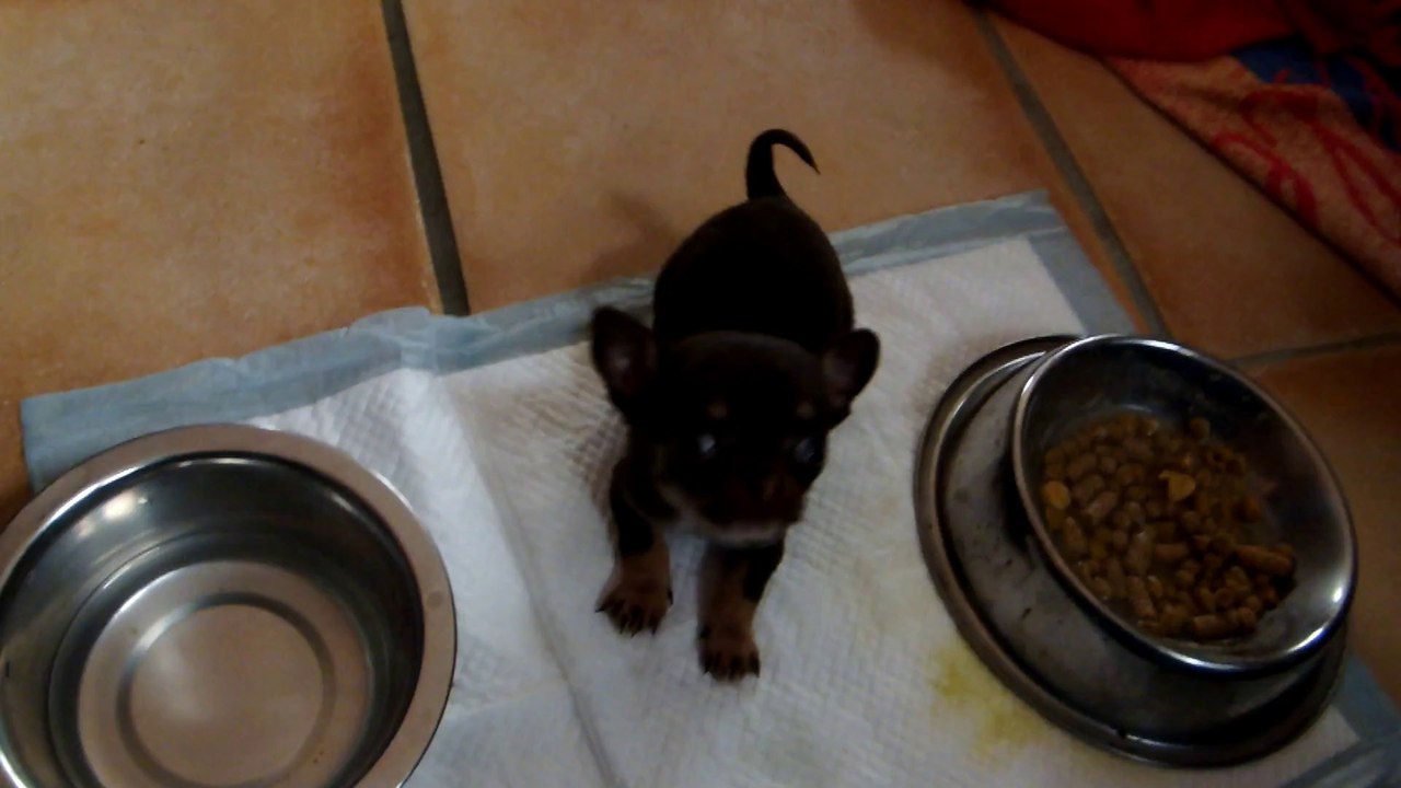 Les deux petite filles de Hombre, tout petit modèle!