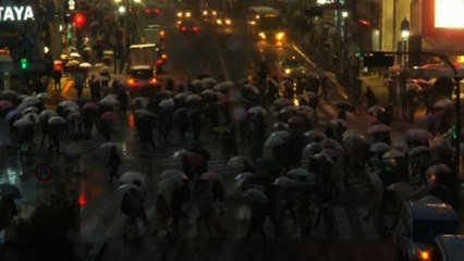 Heavy snow warnings issued for Tokyo