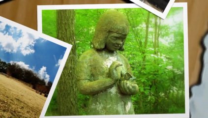 Summer Vacation Slideshow - After Effects Template