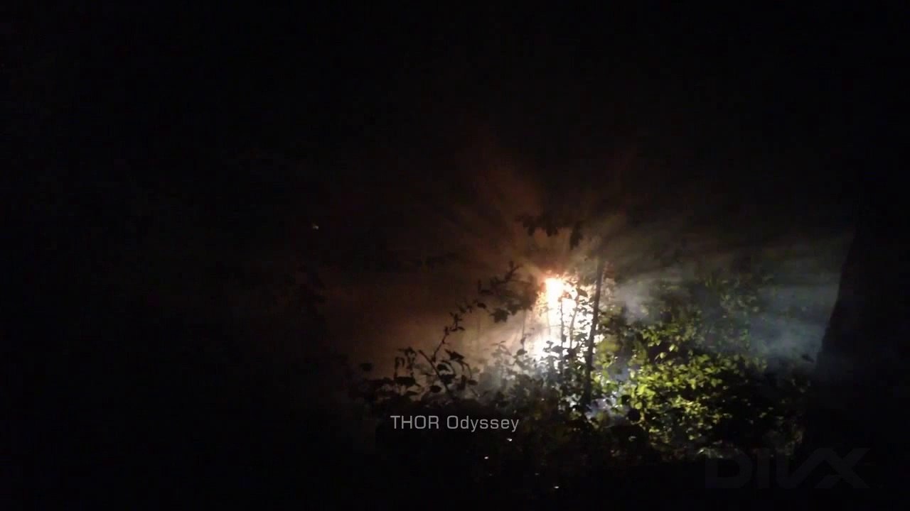 OVNI "Filmé dans une Forêt"  (publié le 14 Février 2014)