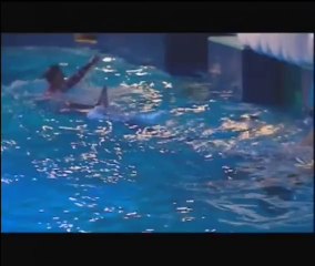 dolfinarium harderwijk de droomwens show DVD version