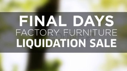 Blinds Revealer - After Effects Template