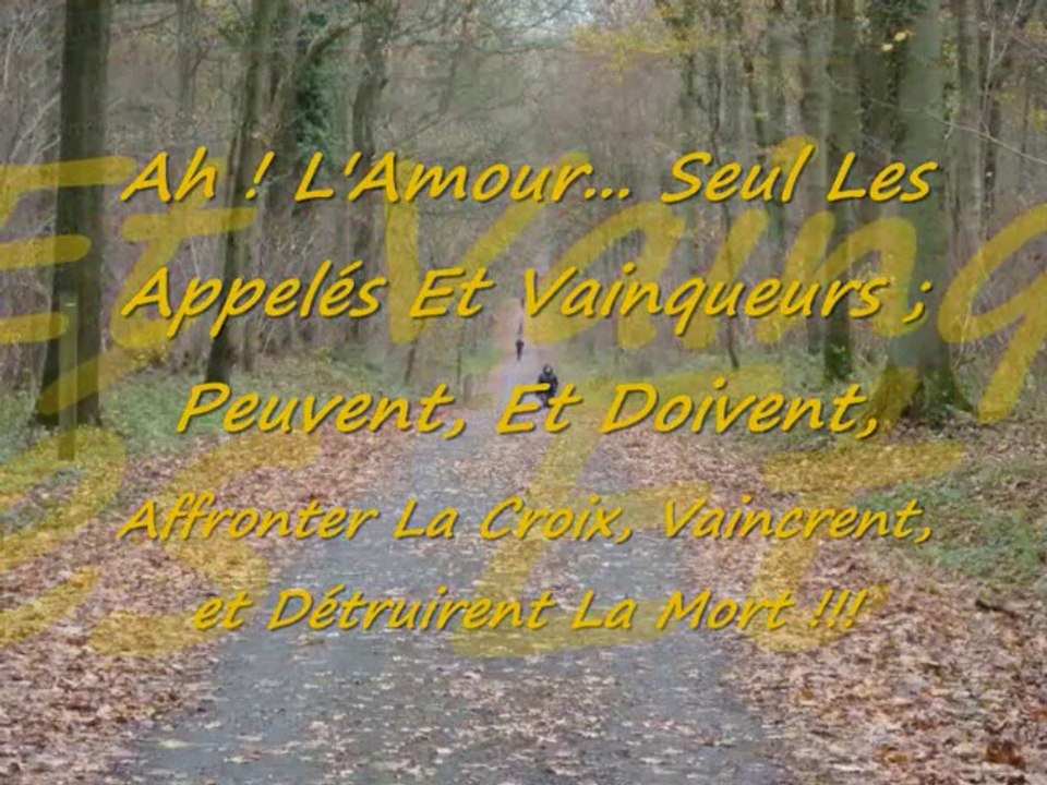 INRI,PAX"Ô JESUS!:Dieu Sauveur...Tu est le Dieu d'Israël,et mon Serviteur!"ISAÏE40-66;Jean1-12"SalvatoreCali