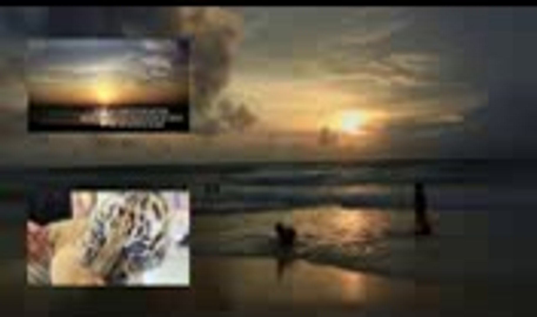 ⁣kislay pandey thailand travel review