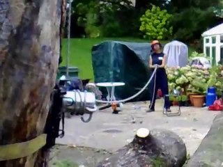 Nick Bailey Tree Surgeons