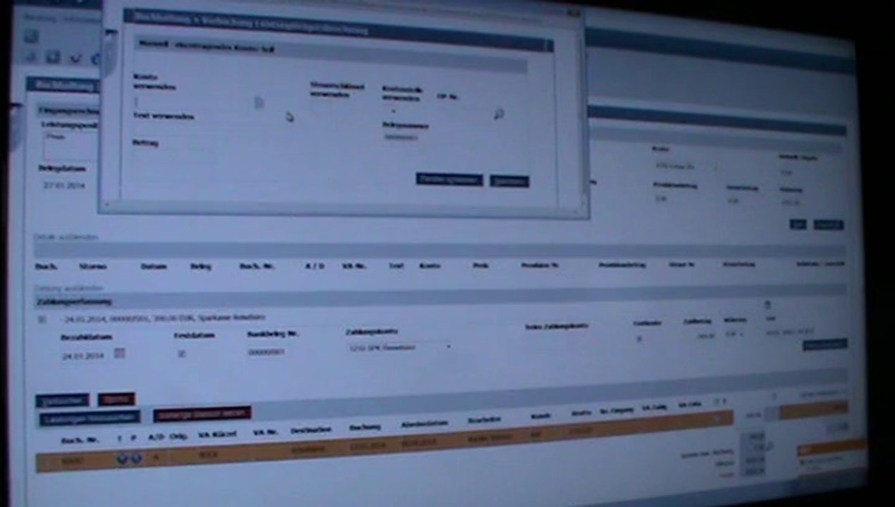 Schmetterling Argus Fullservice Schulung Buchführung Sammelüberweisung 20 Posten teilen