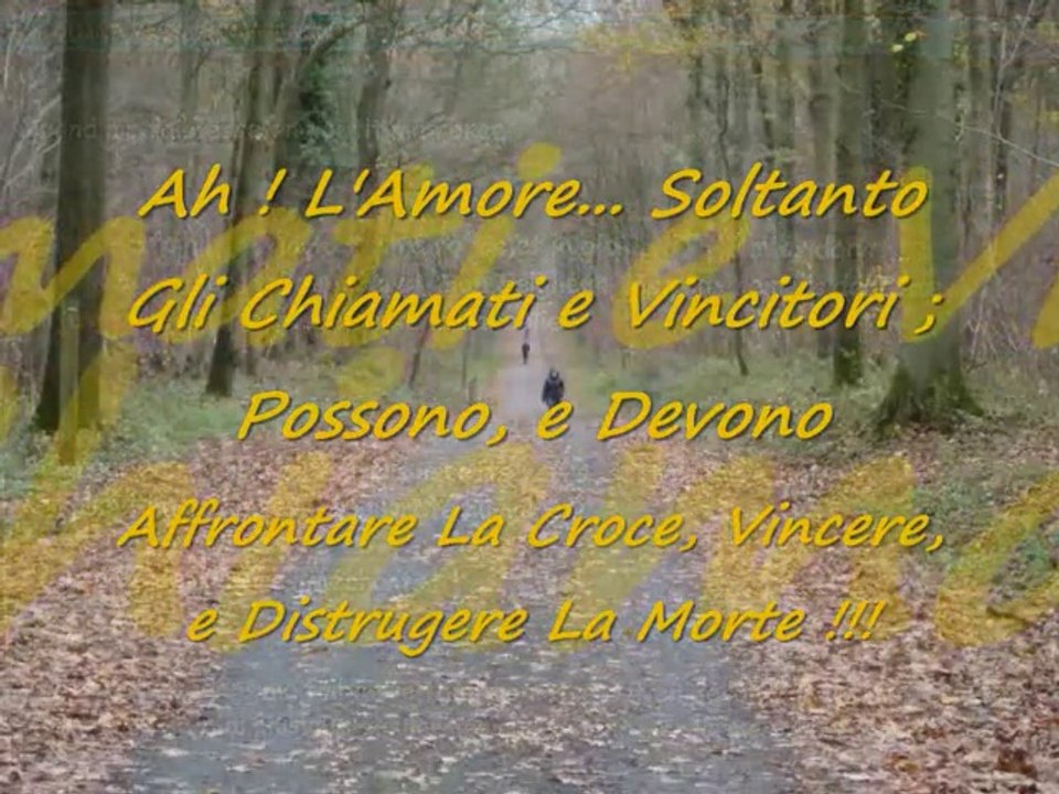 INRI,PAX"Ô GESU!:Dio Salvatore...Tu sei il Dio d'Israele,e il mio Servo!"Isaia40-66;Giovanni1-12"SalvatoreCali