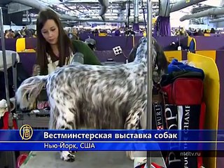 Обзор мировых событий (с 9 по 13 февраля)