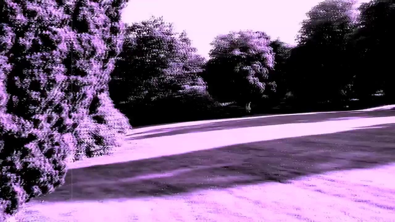 A Trip - The Garden /Full Film/Ganzer Film/Complete Movie