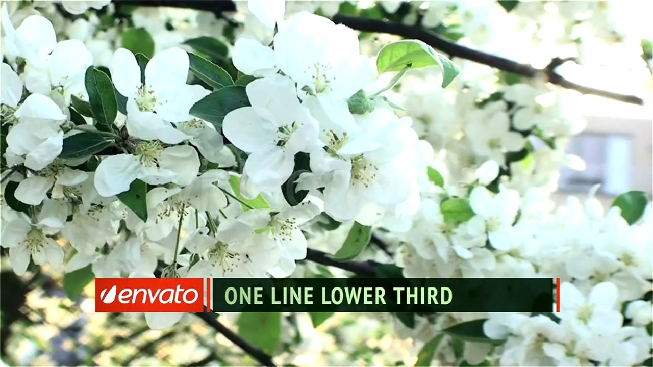Sliding Brackets Lower Third - After Effects Template