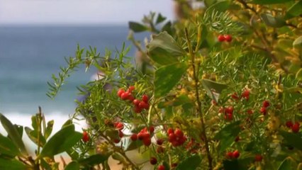 5224-thurs-3rd-february-2011