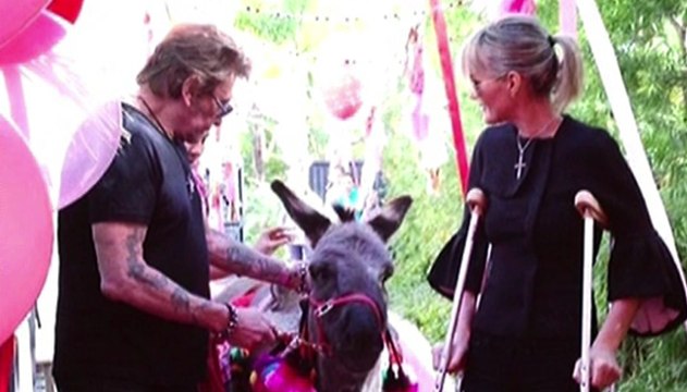Laeticia offre un âne à Johnny Hallyday pour la Saint-Valentin - ZAPPING ACTU DU 14/02/2014