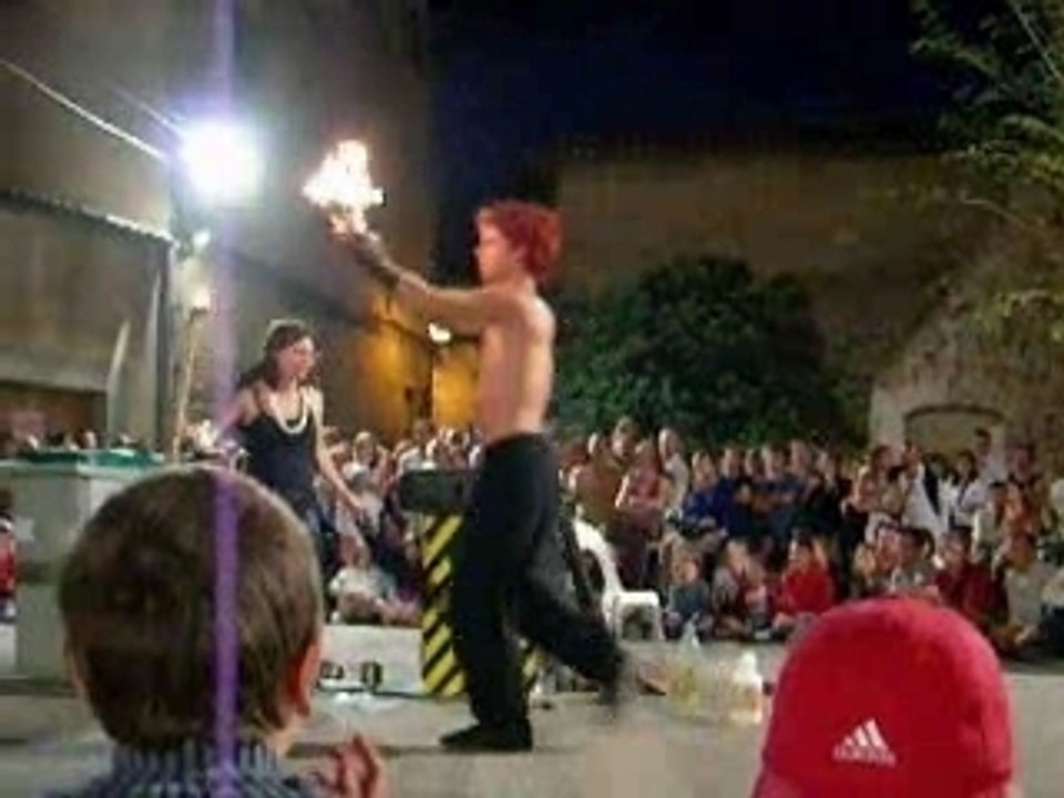 spectacle kungfu pernes les fontaines