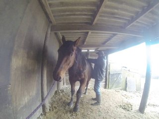 14.02.2014.a.tenebra