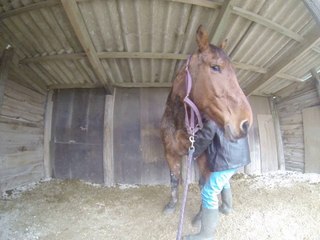 14.02.2014.d.tenebra