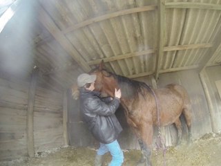 14.02.2014.e.tenebra