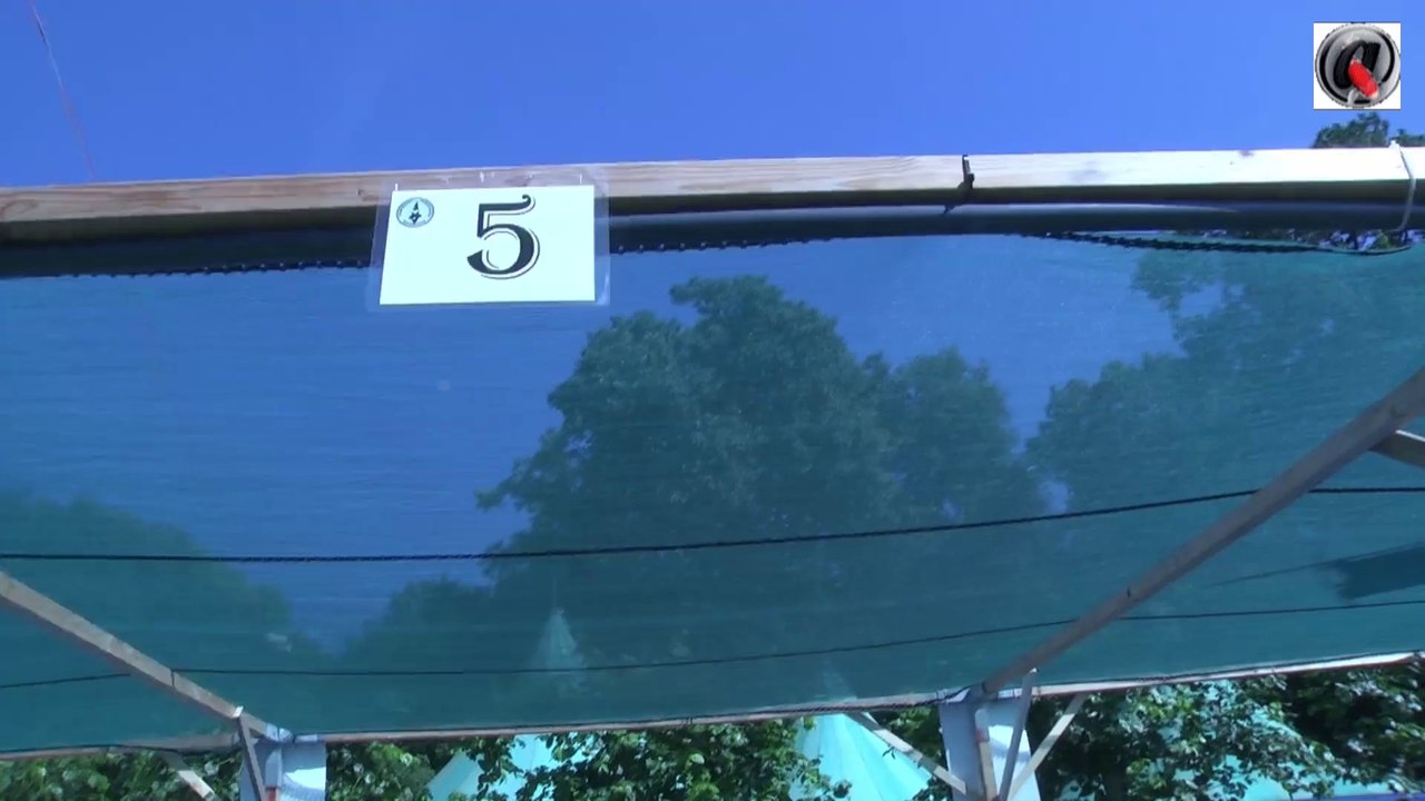 Holland koi show 2013 vats 1 to 10