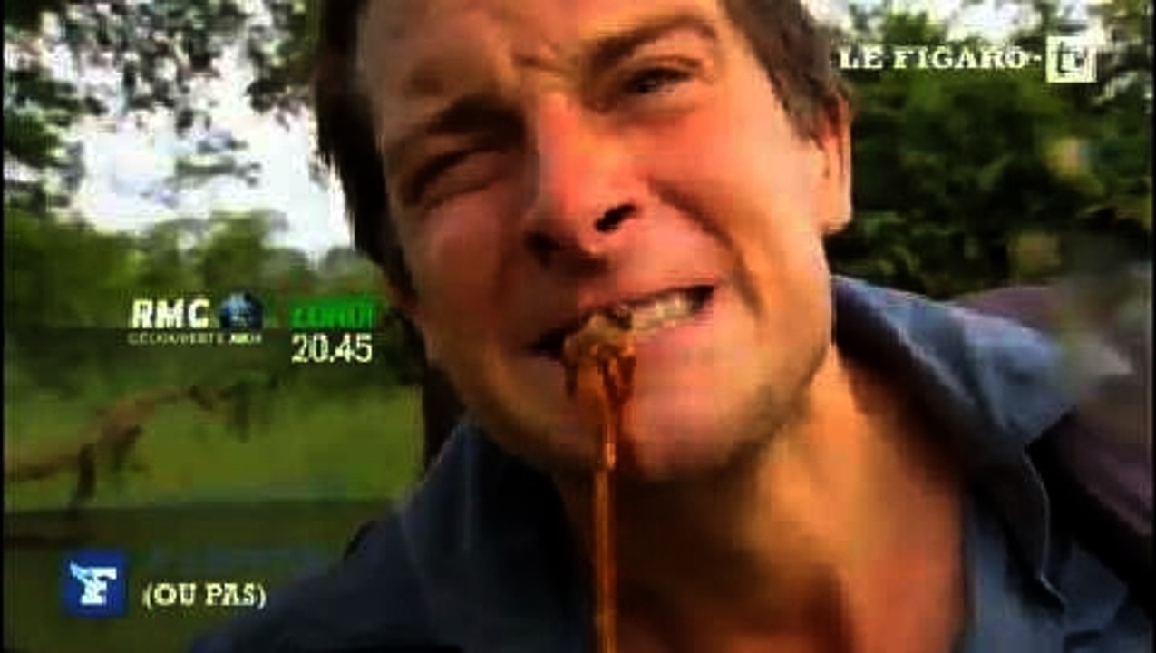 A Zapper (ou pas) : la leçon de gastronomie de Bear Grylls à "Top Chef"