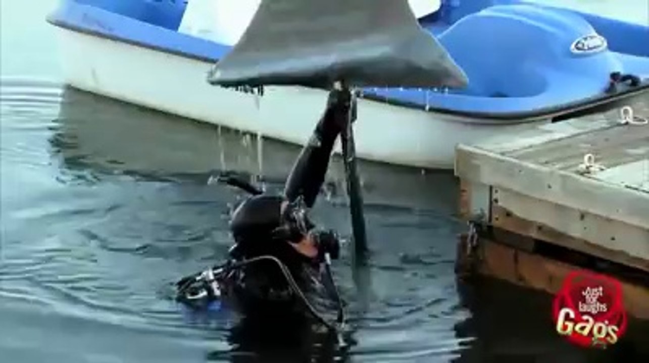 Bikini Girl Shark Attack Prank