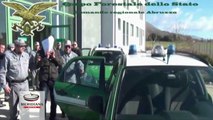 Operazione Lucus Angitiae Due, 9 arresti in Abruzzo da Corpo Forestale per traffico di droga
