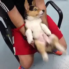 Dance! Dance! Dance! 💃