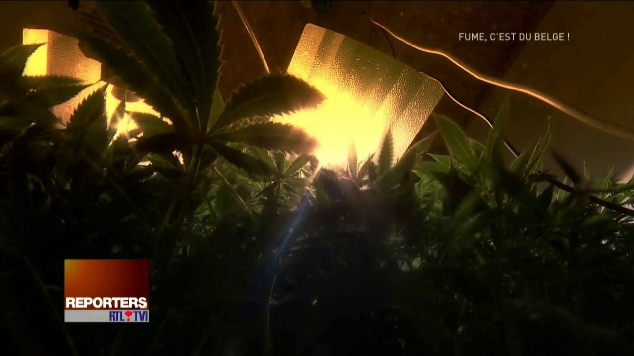 Reporters - Fume : c'est du Belge