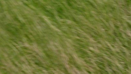tempête Ulla  pointe saint matthieu