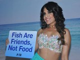 Richa Chadda Turns Mermaid For PETA India