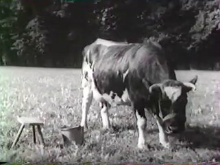 Jeunes filles en fleur