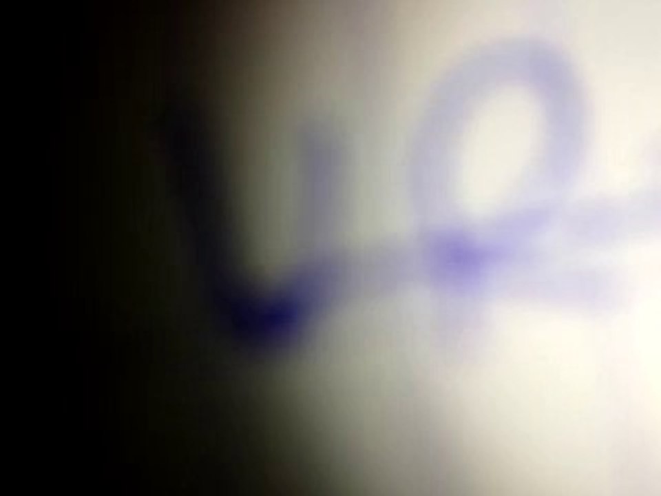 LA PLANÈTE TERRE SANS ARGENT ET SANS FRONTIÈRES.EXPLICATIONS.IMPROVISÉ.