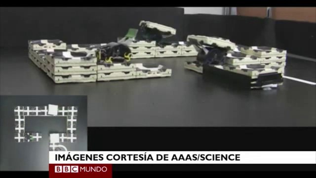 Robots-termitas que trabajan en equipo