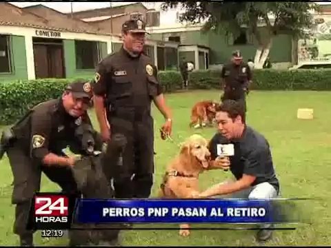 Policía Canina pasó al retiro a valientes perros 'Machín', 'Archi' y 'Chester'