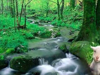 La Fontaine en chansons- -Le loup et l_agneau-