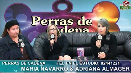 PERRAS DE CADENA 12 FEBRERO 2014