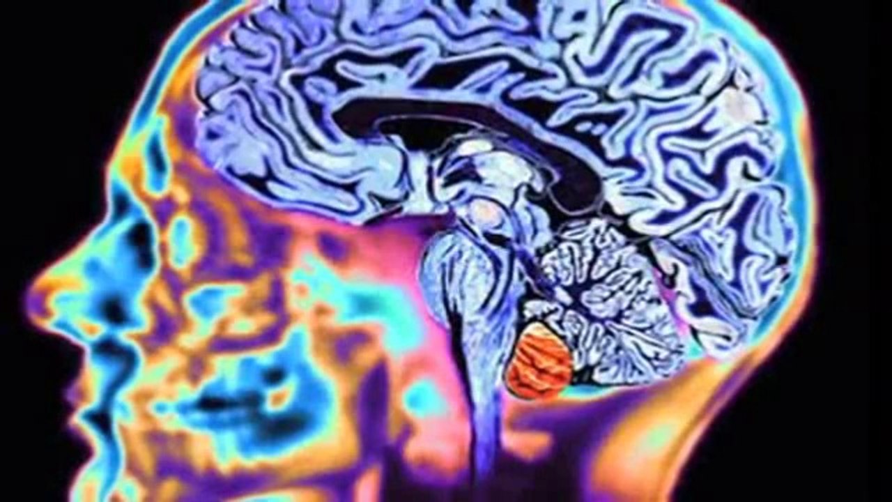 HYBRID WORLD-The Plan to Modify and Control The Human Race!