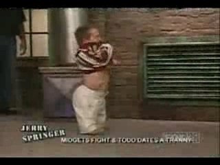 Springer Dwarf Fight