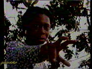 spielberg-tele +1-promo