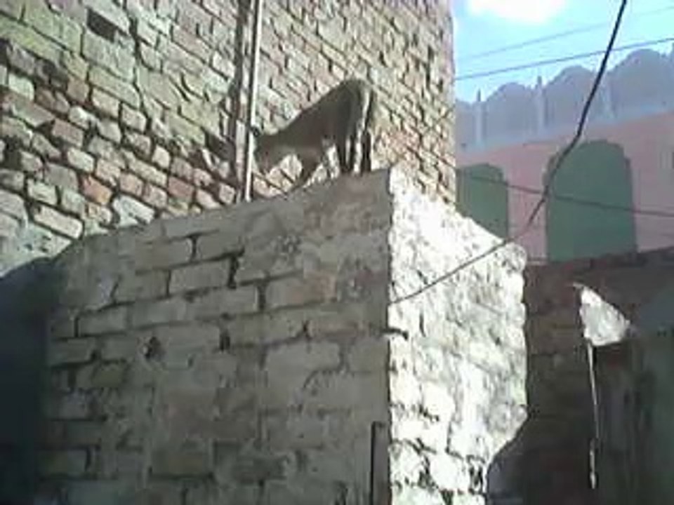 MOV_0000032