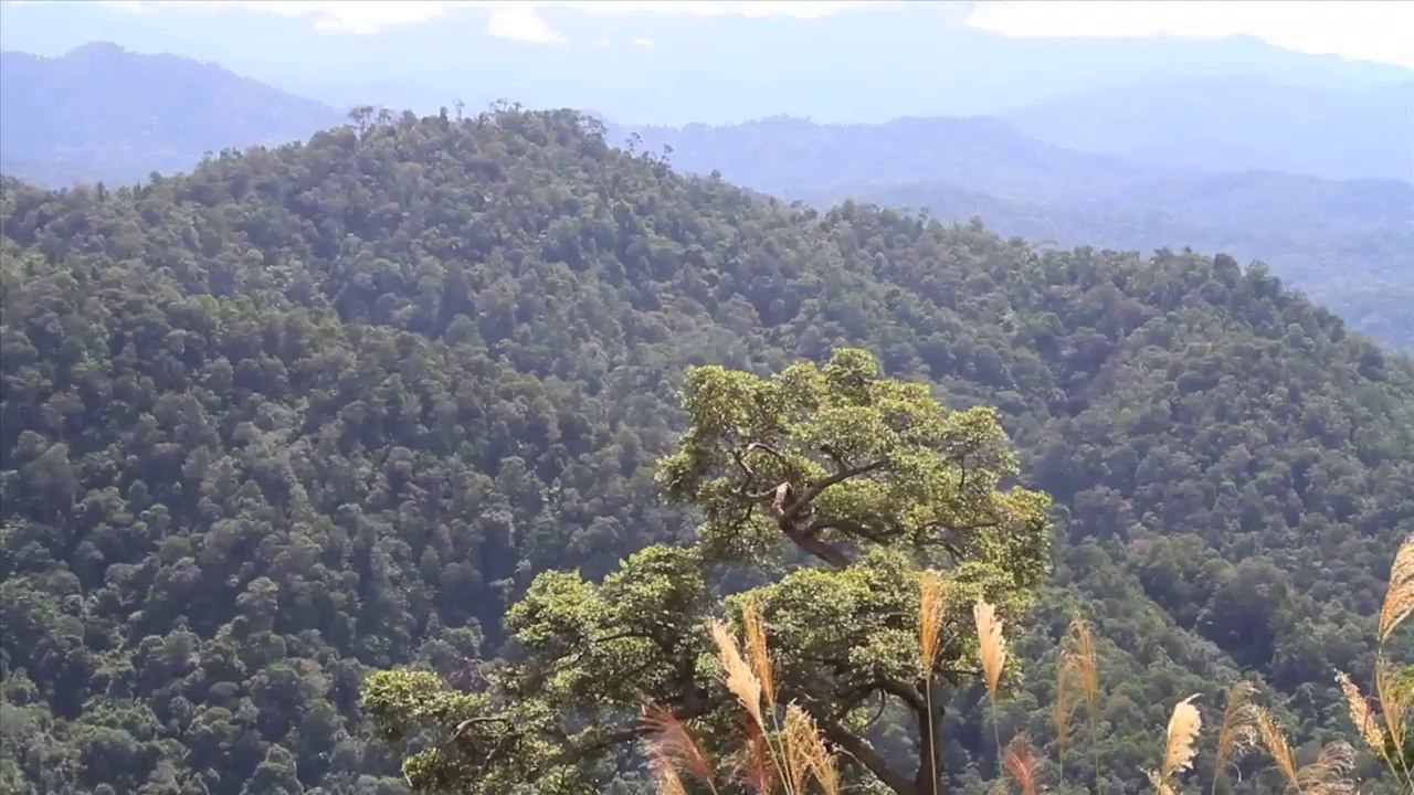 Inside Malaysia's Shadow State