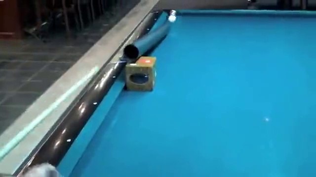 Incredibile quello che riesce a fare con la stecca