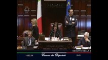 Roma - Camera - 17° Legislatura - 174° seduta (14.02.14)