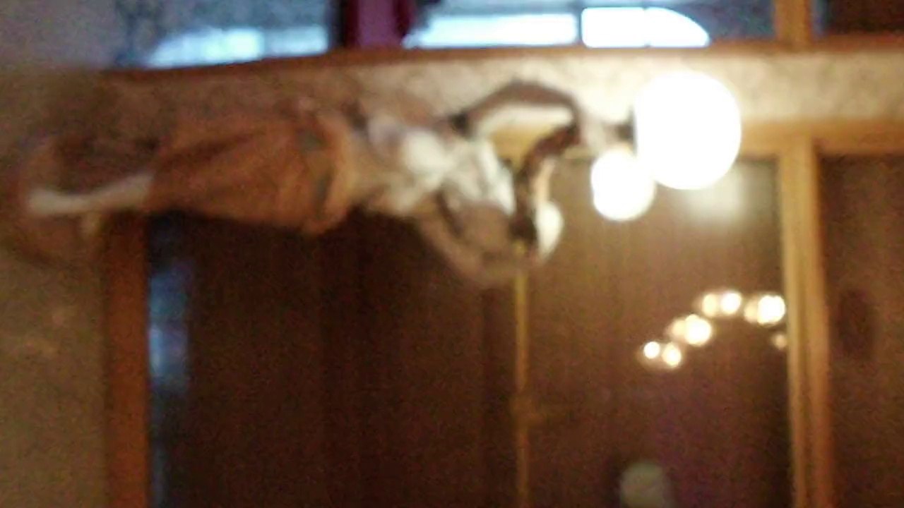 Defne Defnem Side, Side & Alanya  (4)