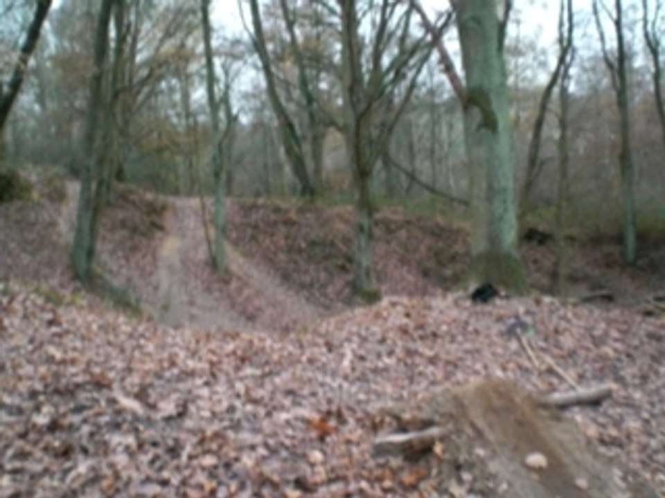 Photo 018