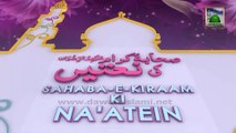 Sahaba Ki Natein Ep 10 - Hazrat Syeduna Ameer Hamza Ki Natein