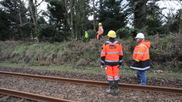 Tempête Ulla : Des arbres bloquent les voies de TGV