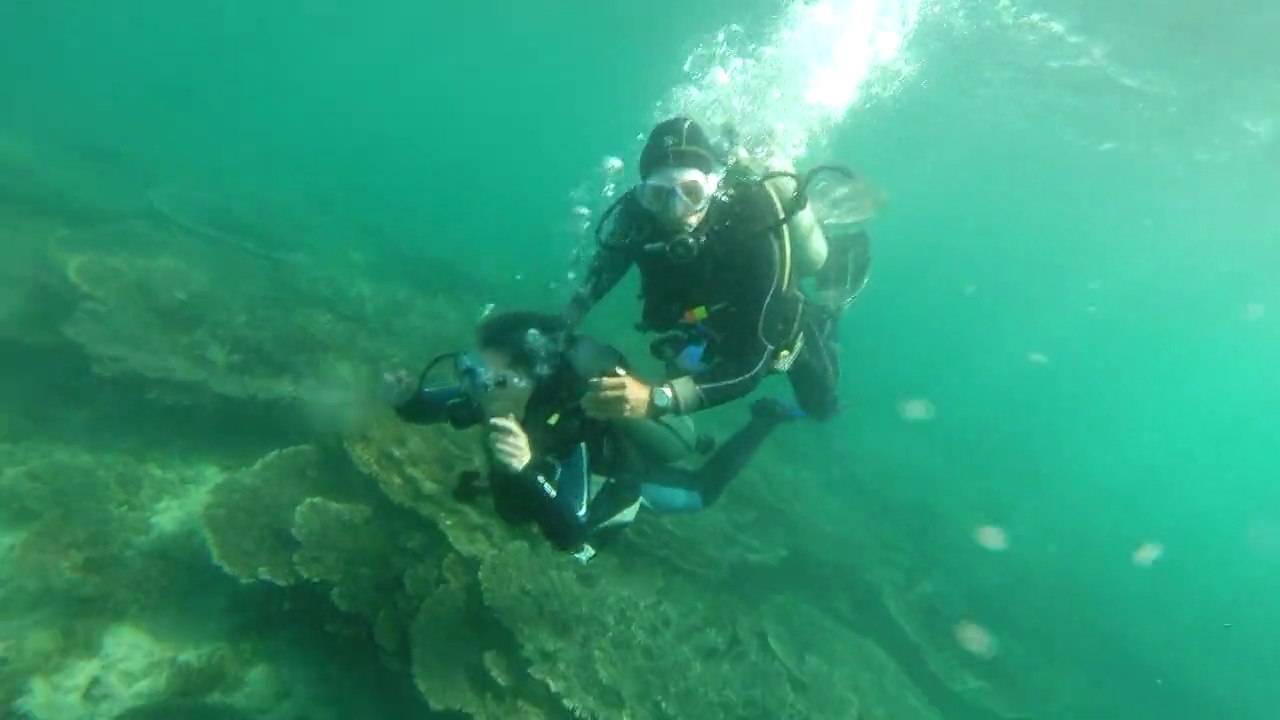 Plongée aux îles Daymaniyat - Sultanat d'Oman