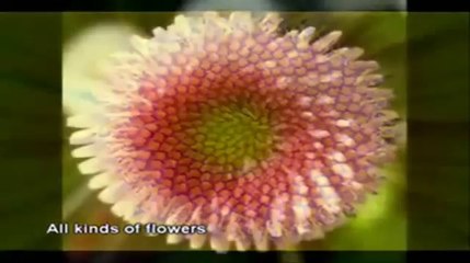 The Holographic Disclosure 3 of 7