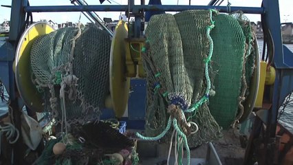 Intempéries: finances exsangues pour pêcheurs et mareyeurs