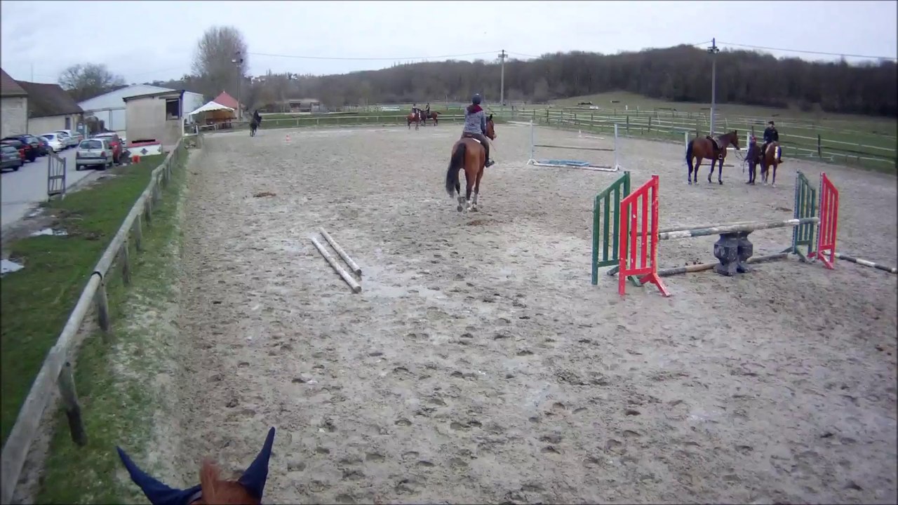 Séance du Samedi 15 Février 2014